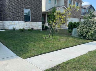 Mei W.'s Lawn Mowing service result