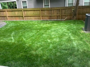Thomas W.'s Lawn Service service result
