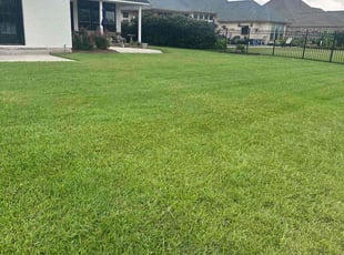 Lauren U.'s Lawn Care service result