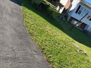 FRED B.'s Lawn Mowing service result