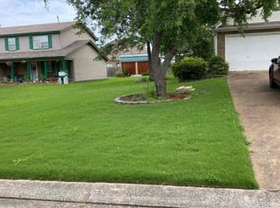 Michael P.'s Lawn Service service result