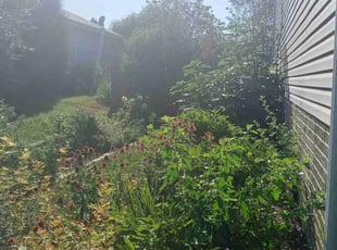Bush Trimming by Dartellee Foster for Jen R. in Papillion, NE