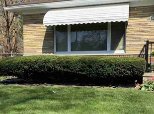 Bush Trimming by Angela Valdez for Joyce L. in Detroit, MI