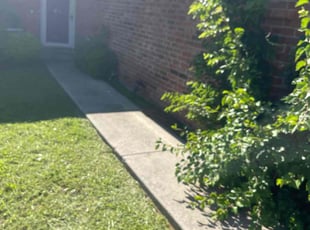 Weeding by Samuel Fogg for Mandy B. in Denton, TX