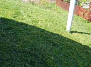 Patty O.'s Grass Cutting service result