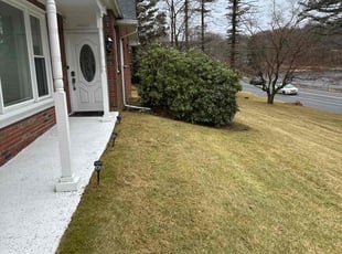 Bush Trimming by Wally Krake for Sheena B. in Sparta, NJ