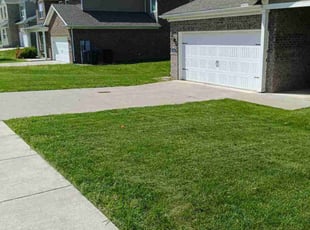 Connor D.'s Lawn Mowing service result