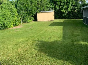 Carlos M.'s Grass Cutting service result