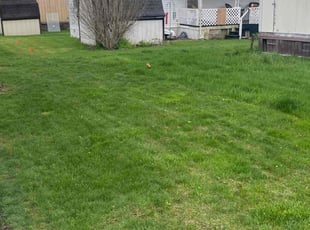 Brandon S.'s Lawn Care service result