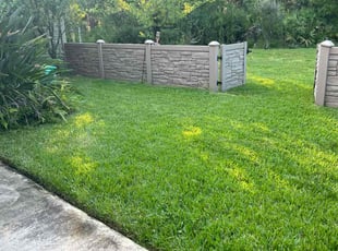 Susie L.'s Lawn Mowing service result