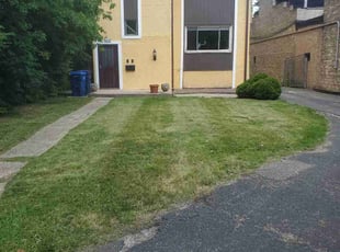 Shirley J.'s Lawn Mowing service result