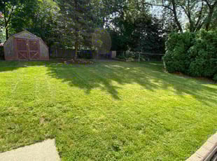 Carmelita G.'s Lawn Care service result