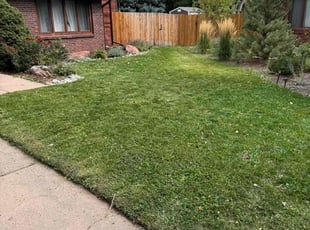 Emmett H.'s Lawn Mowing service result