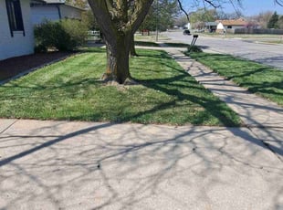 Zettia G.'s Lawn Care service result