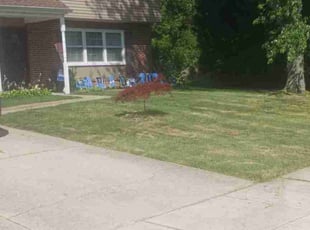 Vince E.'s Lawn Mowing Service service result