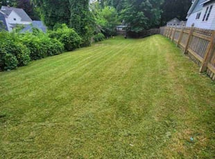 Allen M.'s Lawn Mowing service result