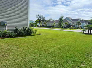 Patricia C.'s Lawn Maintenance service result