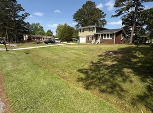 Michelle P.'s Lawn Care service result
