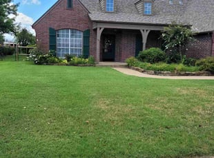 Anthony K.'s Lawn Mowing service result