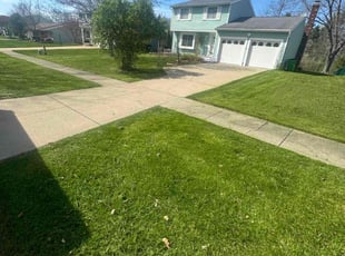 Dan Z.'s Lawn Mowing Service service result