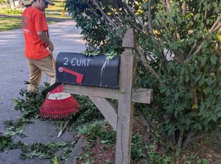 Ladriyka D.'s Bush Trimming service result