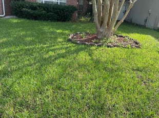 Tyrell R.'s Yard Cutting service result