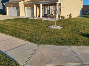 Brett w.'s Lawn Mowing service result