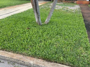 Brian A.'s Lawn Maintenance service result
