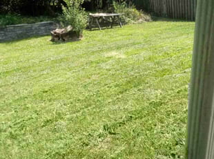 Debra J.'s Lawn Mowing service result