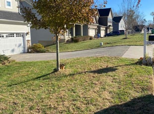 Leaf Removal by Richard Tucker for Gwen V. in Midlothian, VA