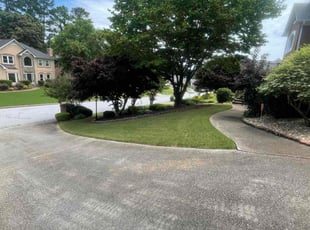 Mark S.'s Lawn Mowing service result