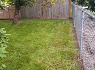 Mike D.'s Lawn Service service result