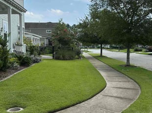 Sydney S.'s Lawn Maintenance service result