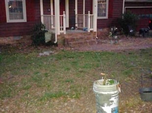 Bush Trimming by Robert Barker for Dana S. in Glen Allen, VA