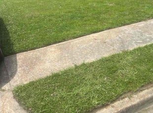 Chiquita F.'s Lawn Service service result