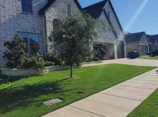 Olga S.'s Lawn Service service result
