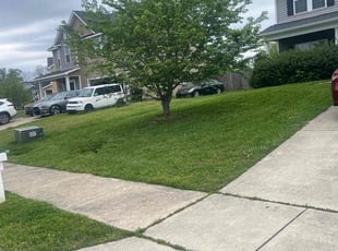 Will M.'s Lawn Care service result