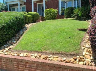 Erika C.'s Lawn Maintenance service result