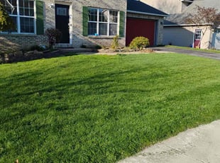 Annie F.'s Lawn Mowing Service service result