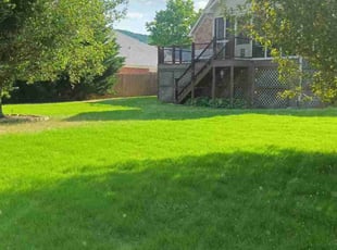 Teleyah H.'s Lawn Mowing service result