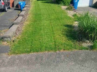 Steve V.'s Lawn Maintenance service result