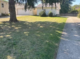Mike P.'s Yard Cutting service result