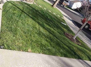 Rozella M.'s Lawn Mowing Service service result
