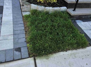 Roschelle J.'s Grass Cutting service result