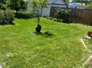 Ryan B.'s Lawn Maintenance service result