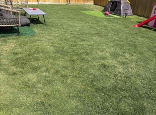 Lynn S.'s Lawn Care service result