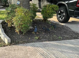 Cleanups by Brandon Rodriguez for Roger C. in San Antonio, TX