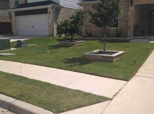 Bharath G.'s Lawn Care service result