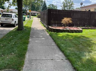 Cliff M.'s Lawn Care service result