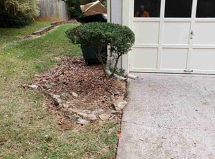 Bush Trimming by Peter Coke for Brettney D. in Marietta, GA
